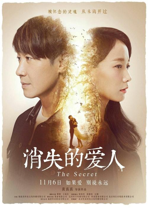 怎么做假艾尔比奥学院学位证